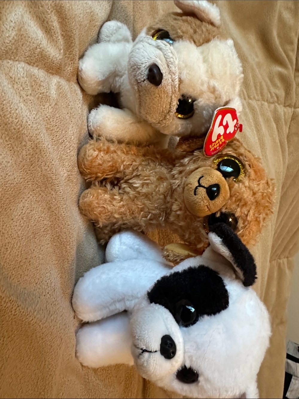Ty Plush Trio - White, Black, Brown Small Pets